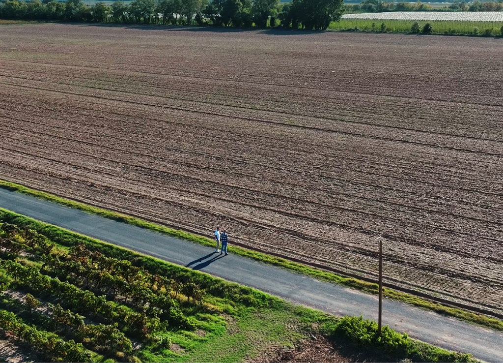 Deux personnes au bord d'une vaste parcelle agricole, vue du ciel