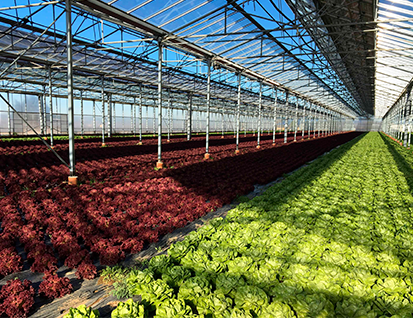 serres agricoles