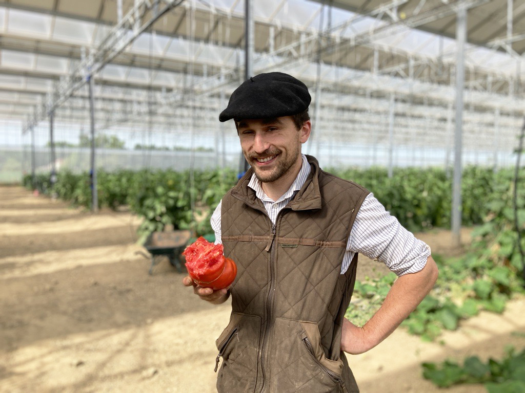 Producteur présentant une tomate dans sa serre