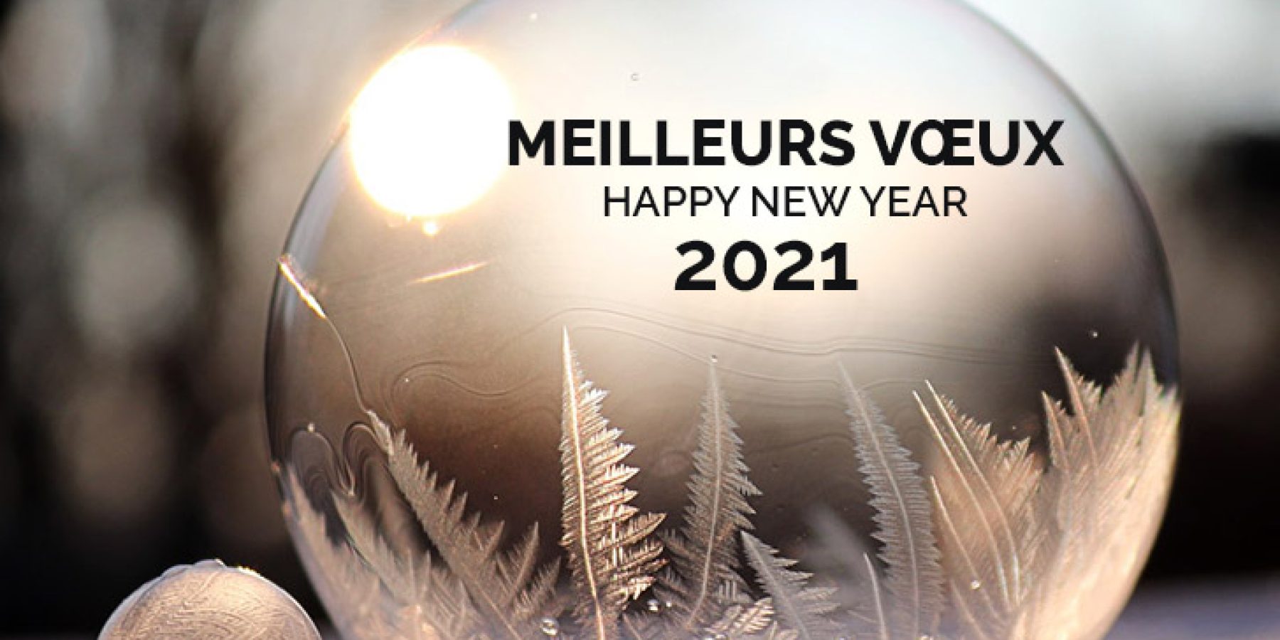 Voeux site